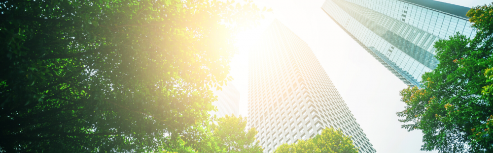 8bac6e746988-Business-towers-and-Green-leaves-1600x700.png.png